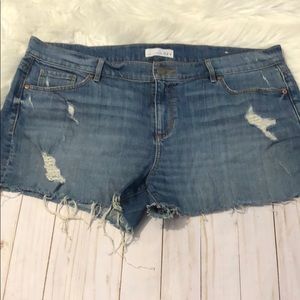 Ann Taylor Loft cutoff shorts size 14